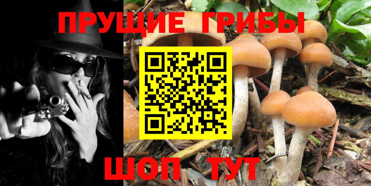 Псилоцибиновые грибы GOLDEN TEACHER  Вход с VPN  Лабытнанги 