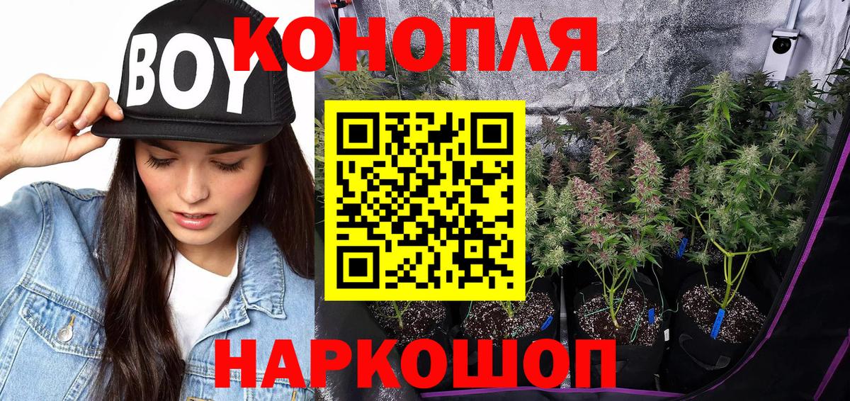 Шишки марихуана гибрид  Бошки Шишки ГИДРОПОН  Вход с VPN  Лабытнанги  Конопля индика 